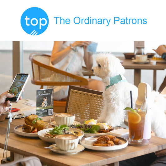The Ordinary Patrons