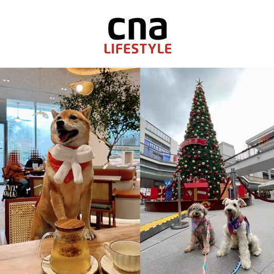 CNA Lifestyle